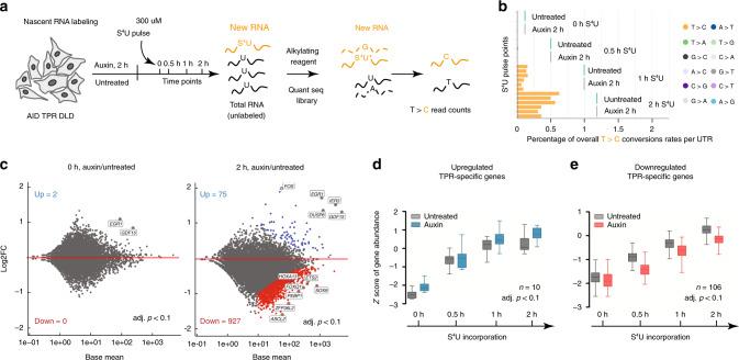 https://cdn.ncbi.nlm.nih.gov/pmc/blobs/d789/7486939/a6c76f4c8ae9/41467_2020_18266_Fig5_HTML.jpg