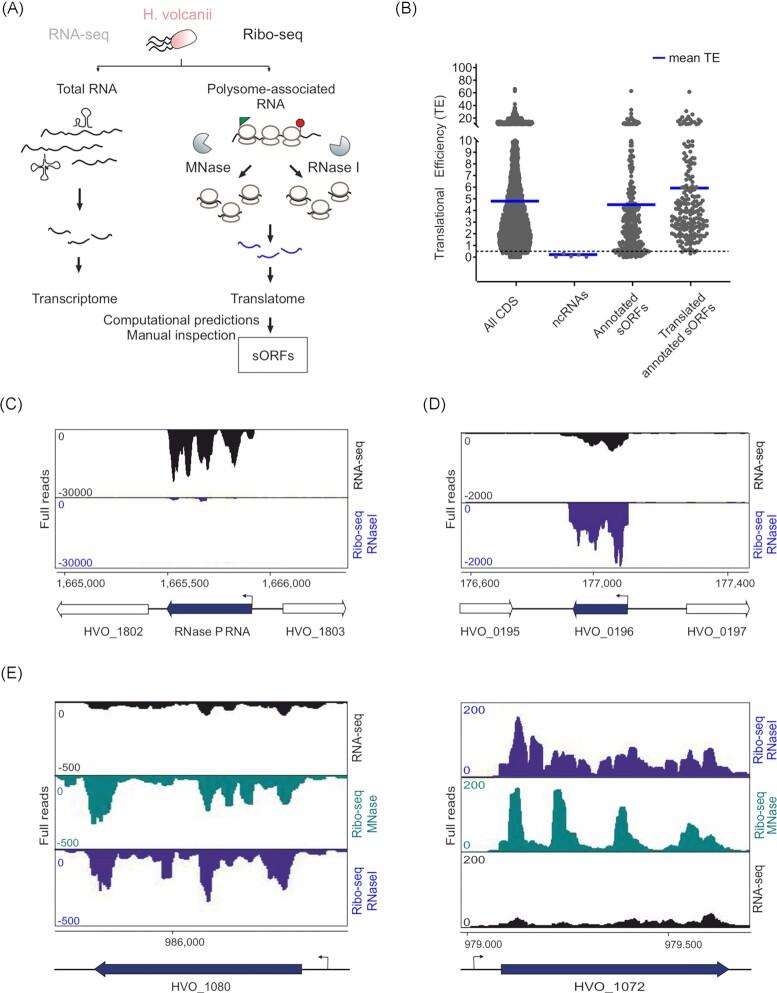 https://cdn.ncbi.nlm.nih.gov/pmc/blobs/d78b/10117724/3a0f9d0a0e44/uqad001fig2.jpg