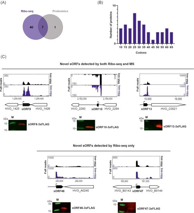 https://cdn.ncbi.nlm.nih.gov/pmc/blobs/d78b/10117724/72da838343c4/uqad001fig4.jpg