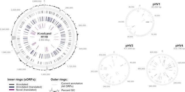 https://cdn.ncbi.nlm.nih.gov/pmc/blobs/d78b/10117724/b0fd4a72c0e1/uqad001fig5.jpg