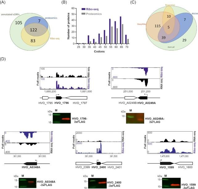 https://cdn.ncbi.nlm.nih.gov/pmc/blobs/d78b/10117724/bfd25664ee97/uqad001fig3.jpg