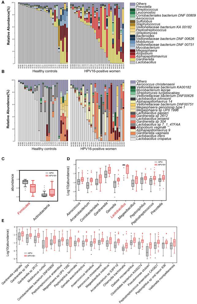 https://cdn.ncbi.nlm.nih.gov/pmc/blobs/d78c/7324666/54dec60b92e7/fcimb-10-00286-g0002.jpg