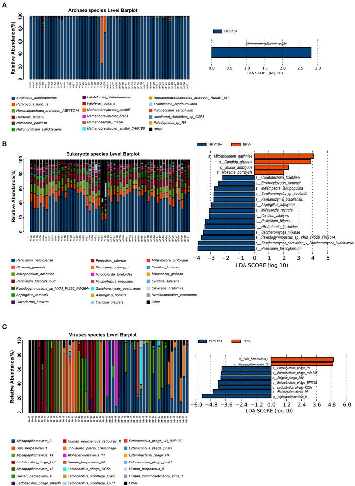 https://cdn.ncbi.nlm.nih.gov/pmc/blobs/d78c/7324666/5629dc82e64d/fcimb-10-00286-g0004.jpg