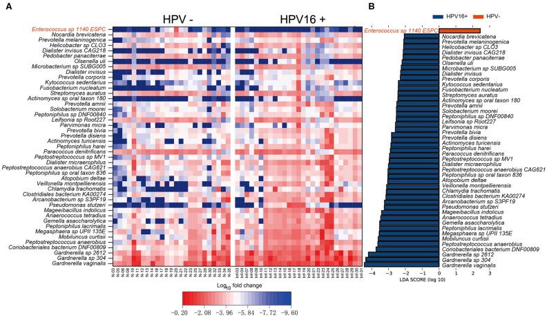 https://cdn.ncbi.nlm.nih.gov/pmc/blobs/d78c/7324666/6b1ad5fc24db/fcimb-10-00286-g0003.jpg
