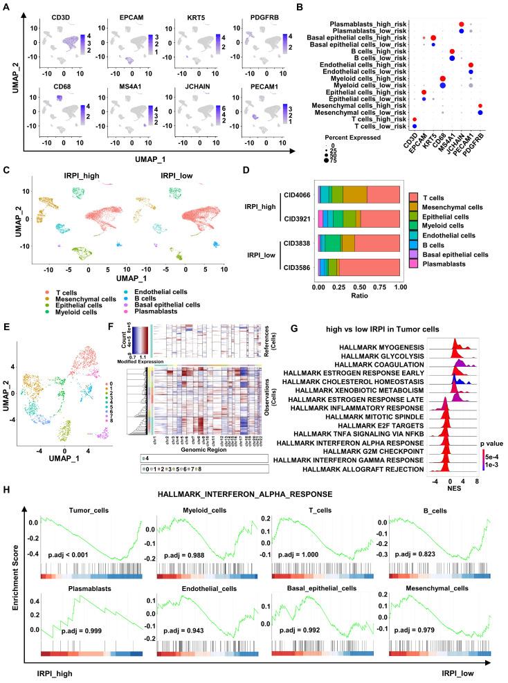 https://cdn.ncbi.nlm.nih.gov/pmc/blobs/d78d/11234227/0384d3d78986/ijbsv20p3497g004.jpg
