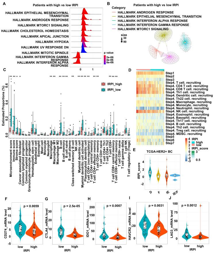 https://cdn.ncbi.nlm.nih.gov/pmc/blobs/d78d/11234227/148b16f9e13a/ijbsv20p3497g003.jpg
