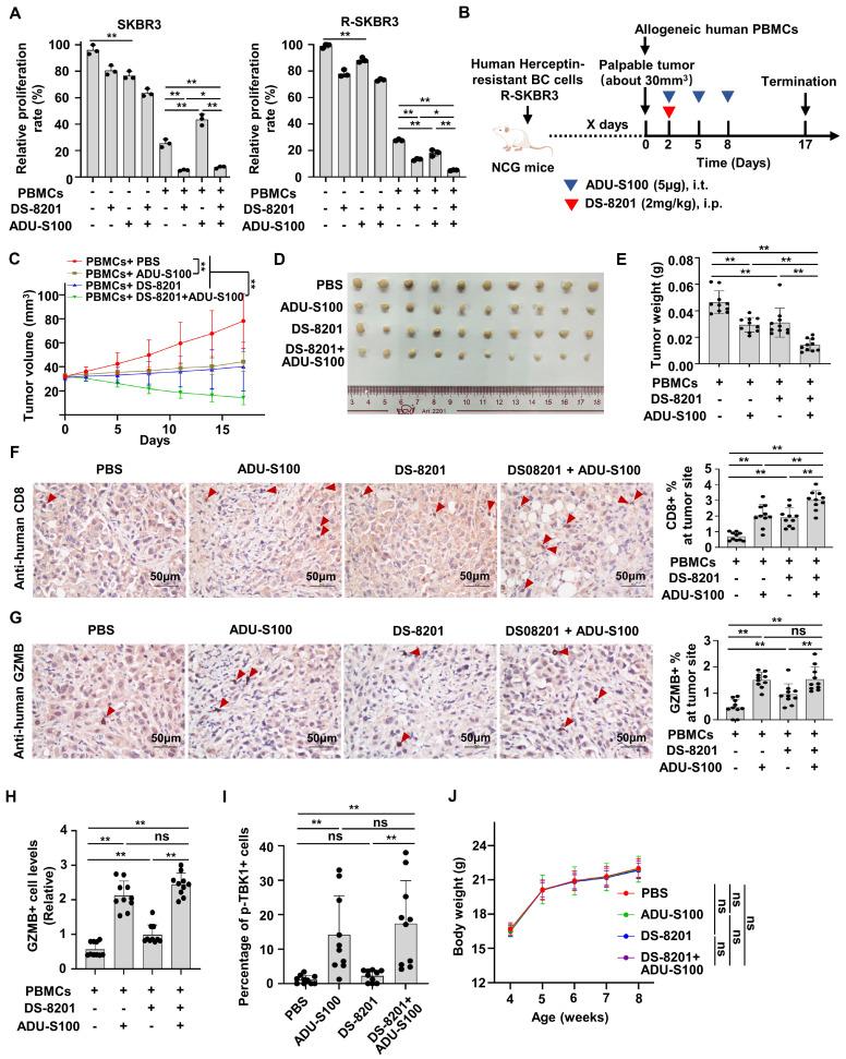 https://cdn.ncbi.nlm.nih.gov/pmc/blobs/d78d/11234227/79925d42d363/ijbsv20p3497g007.jpg