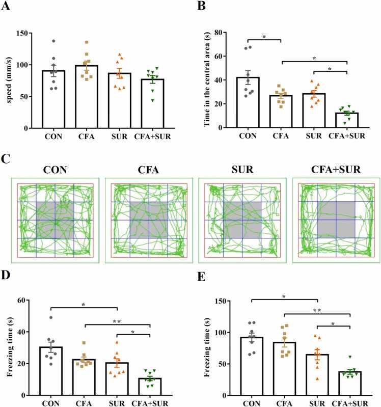 https://cdn.ncbi.nlm.nih.gov/pmc/blobs/d78e/12008133/e662c87b775e/gr3.jpg