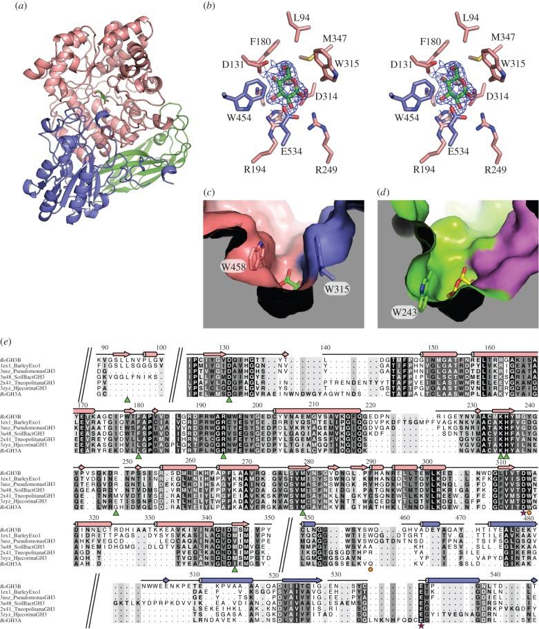 https://cdn.ncbi.nlm.nih.gov/pmc/blobs/d78f/4967831/2d69c276880a/rsob-6-160142-g6.jpg