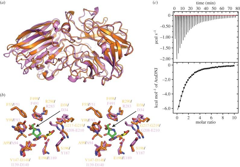 https://cdn.ncbi.nlm.nih.gov/pmc/blobs/d78f/4967831/819f72403b42/rsob-6-160142-g5.jpg
