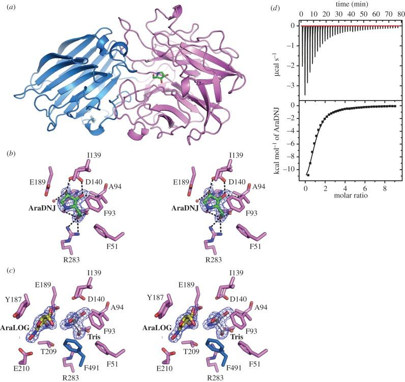 https://cdn.ncbi.nlm.nih.gov/pmc/blobs/d78f/4967831/894421b80e05/rsob-6-160142-g4.jpg