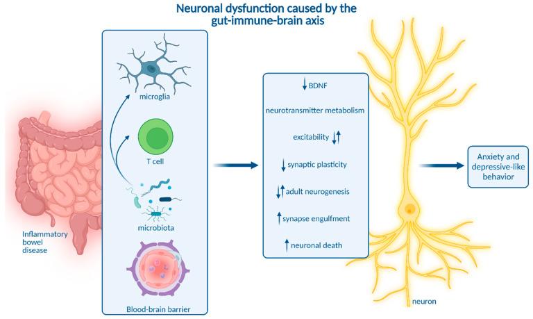https://cdn.ncbi.nlm.nih.gov/pmc/blobs/d791/9570400/46a68ff7252b/ijms-23-11111-g002.jpg