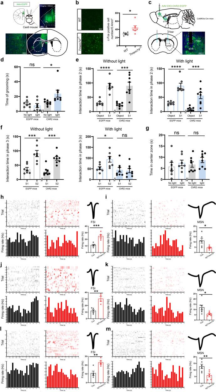 https://cdn.ncbi.nlm.nih.gov/pmc/blobs/d793/10611563/52fc4de4fcd1/41380_2023_1954_Fig4_HTML.jpg