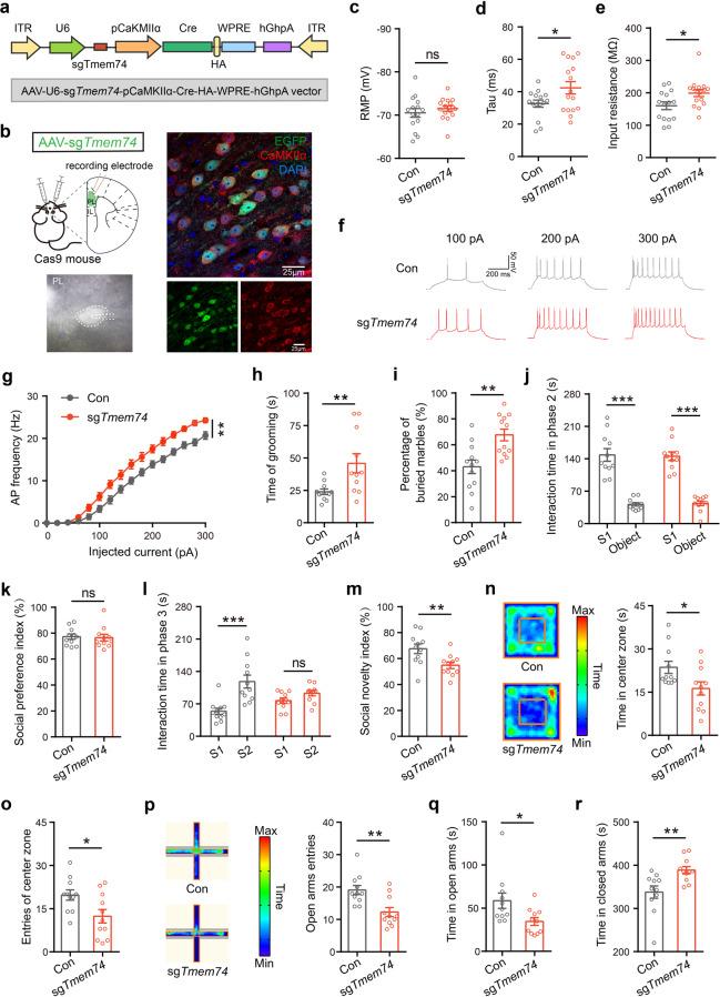 https://cdn.ncbi.nlm.nih.gov/pmc/blobs/d793/10611563/7d4ce190fab0/41380_2023_1954_Fig3_HTML.jpg