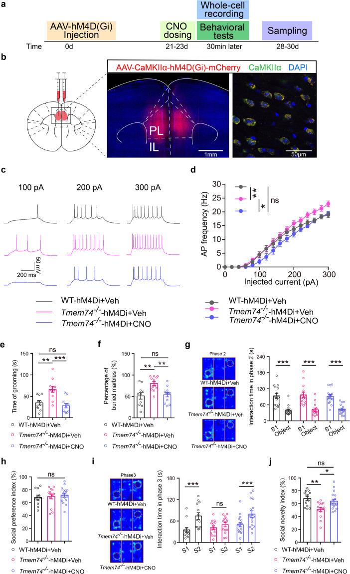 https://cdn.ncbi.nlm.nih.gov/pmc/blobs/d793/10611563/8e9ebaccfca1/41380_2023_1954_Fig2_HTML.jpg
