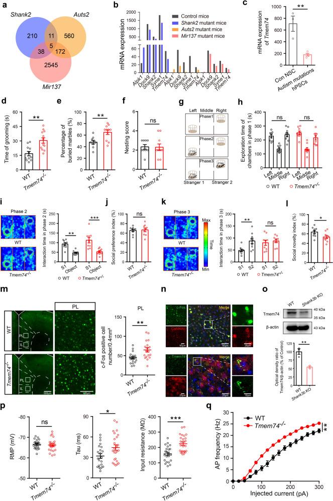 https://cdn.ncbi.nlm.nih.gov/pmc/blobs/d793/10611563/eb4cc6c2d1db/41380_2023_1954_Fig1_HTML.jpg