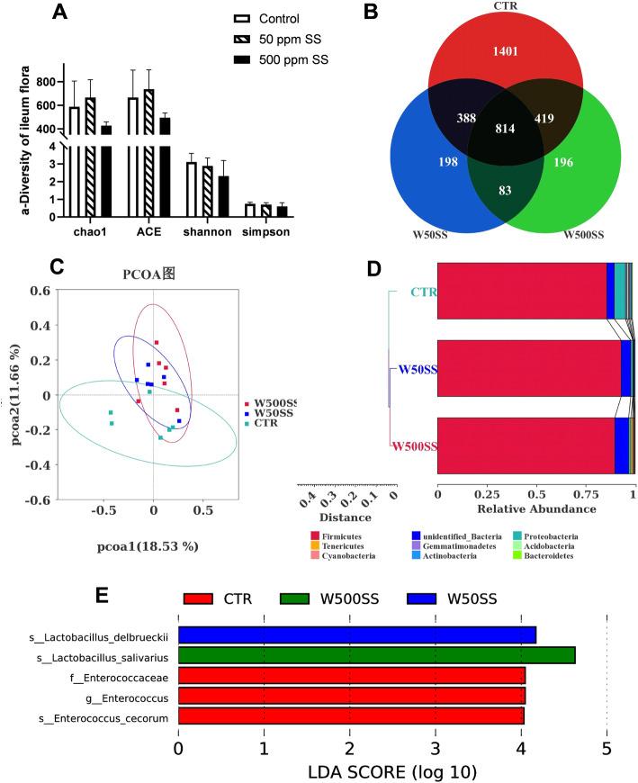 https://cdn.ncbi.nlm.nih.gov/pmc/blobs/d795/8729039/fec28f9655e7/40104_2021_647_Fig4_HTML.jpg