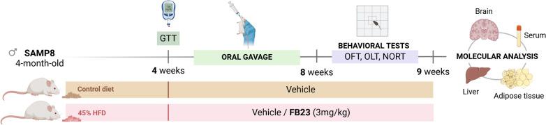 https://cdn.ncbi.nlm.nih.gov/pmc/blobs/d796/11843768/1db2219120b4/10020_2025_1126_Fig1_HTML.jpg