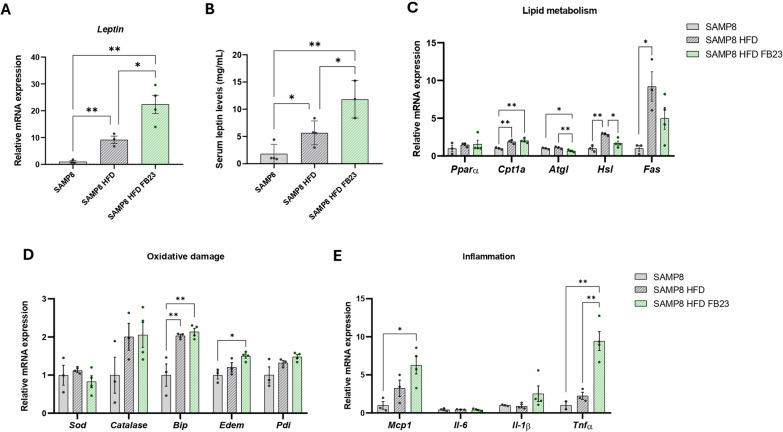 https://cdn.ncbi.nlm.nih.gov/pmc/blobs/d796/11843768/277069e4f4a0/10020_2025_1126_Fig3_HTML.jpg