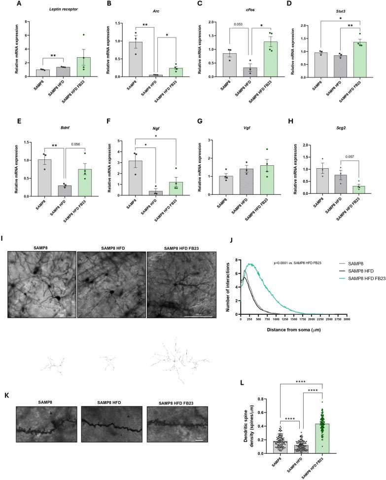 https://cdn.ncbi.nlm.nih.gov/pmc/blobs/d796/11843768/5678e0394b5b/10020_2025_1126_Fig8_HTML.jpg