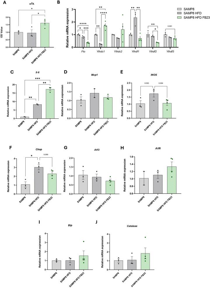 https://cdn.ncbi.nlm.nih.gov/pmc/blobs/d796/11843768/a7dfe372b4cd/10020_2025_1126_Fig6_HTML.jpg