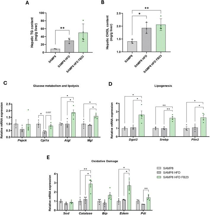 https://cdn.ncbi.nlm.nih.gov/pmc/blobs/d796/11843768/f8d52cff4f65/10020_2025_1126_Fig4_HTML.jpg
