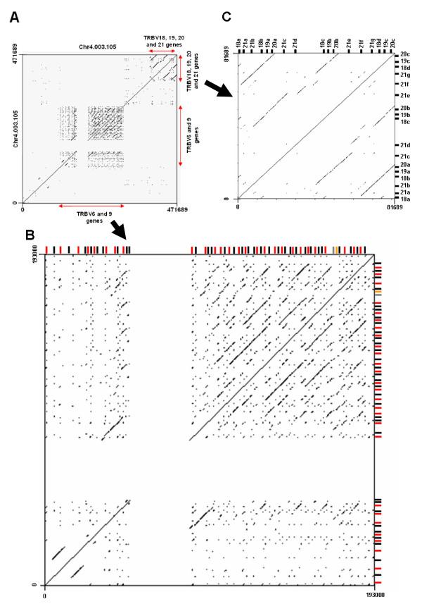 https://cdn.ncbi.nlm.nih.gov/pmc/blobs/d797/2685407/96709fb57193/1471-2164-10-192-3.jpg