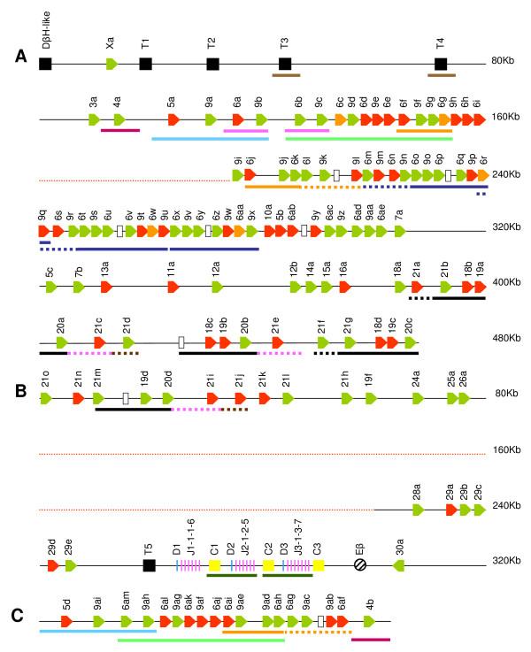 https://cdn.ncbi.nlm.nih.gov/pmc/blobs/d797/2685407/be75042be0c1/1471-2164-10-192-2.jpg