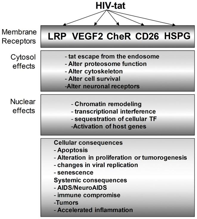 https://cdn.ncbi.nlm.nih.gov/pmc/blobs/d797/7052126/475d17e5fd2b/fcimb-10-00061-g0004.jpg