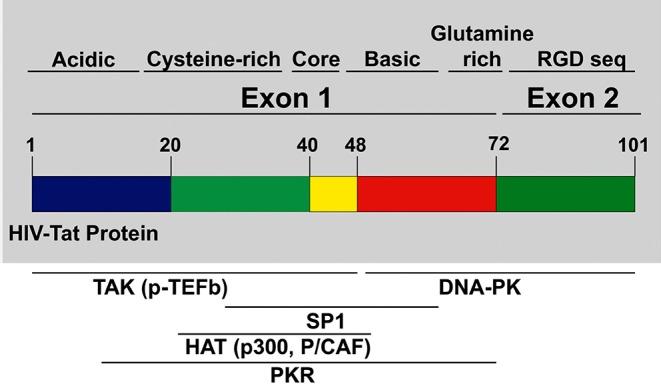 https://cdn.ncbi.nlm.nih.gov/pmc/blobs/d797/7052126/a046f315d072/fcimb-10-00061-g0001.jpg