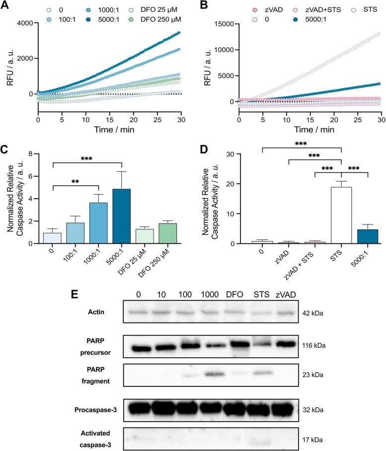 https://cdn.ncbi.nlm.nih.gov/pmc/blobs/d799/10410830/6eb3fe2394c7/40170_2023_313_Fig3_HTML.jpg