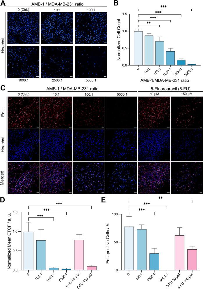 https://cdn.ncbi.nlm.nih.gov/pmc/blobs/d799/10410830/b5da15518de6/40170_2023_313_Fig1_HTML.jpg