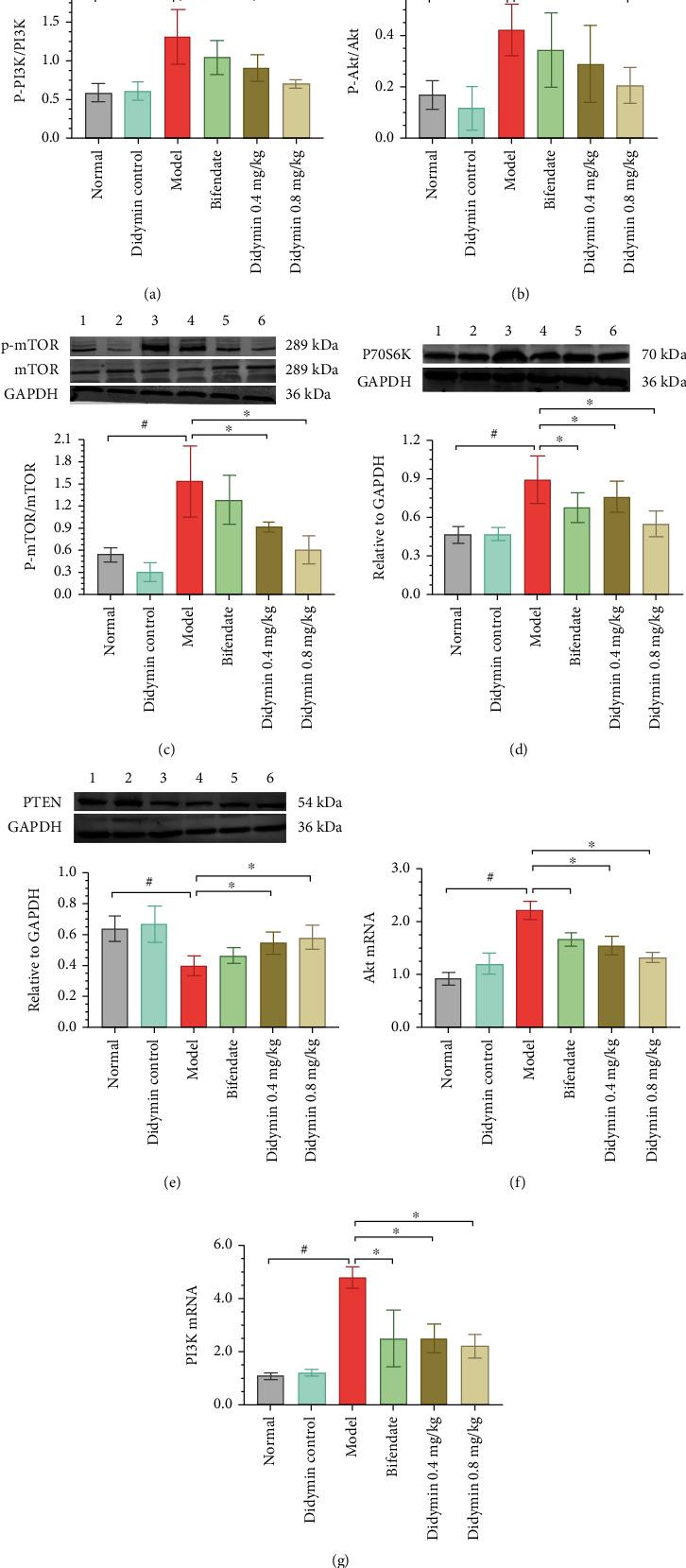 https://cdn.ncbi.nlm.nih.gov/pmc/blobs/d799/9851790/7d56685d1aa5/MI2023-6051946.006.jpg