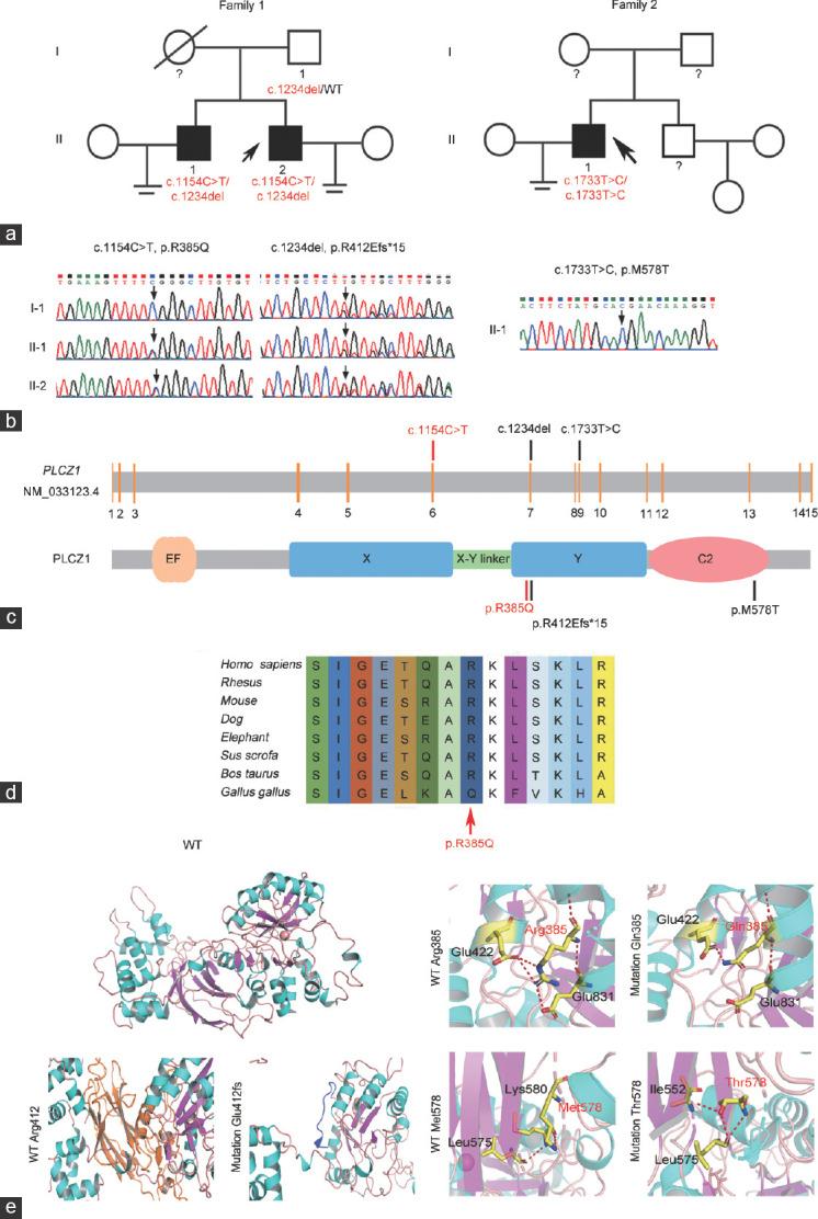 https://cdn.ncbi.nlm.nih.gov/pmc/blobs/d79a/11280200/e0796d6010a6/AJA-26-389-g001.jpg