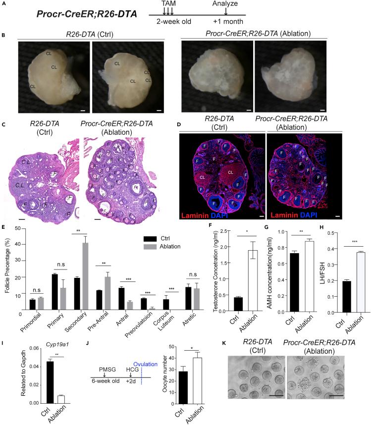 https://cdn.ncbi.nlm.nih.gov/pmc/blobs/d79b/7889980/11ac7a1b363e/gr5.jpg