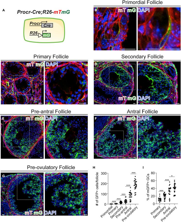 https://cdn.ncbi.nlm.nih.gov/pmc/blobs/d79b/7889980/ccdb10c7c5fd/gr4.jpg
