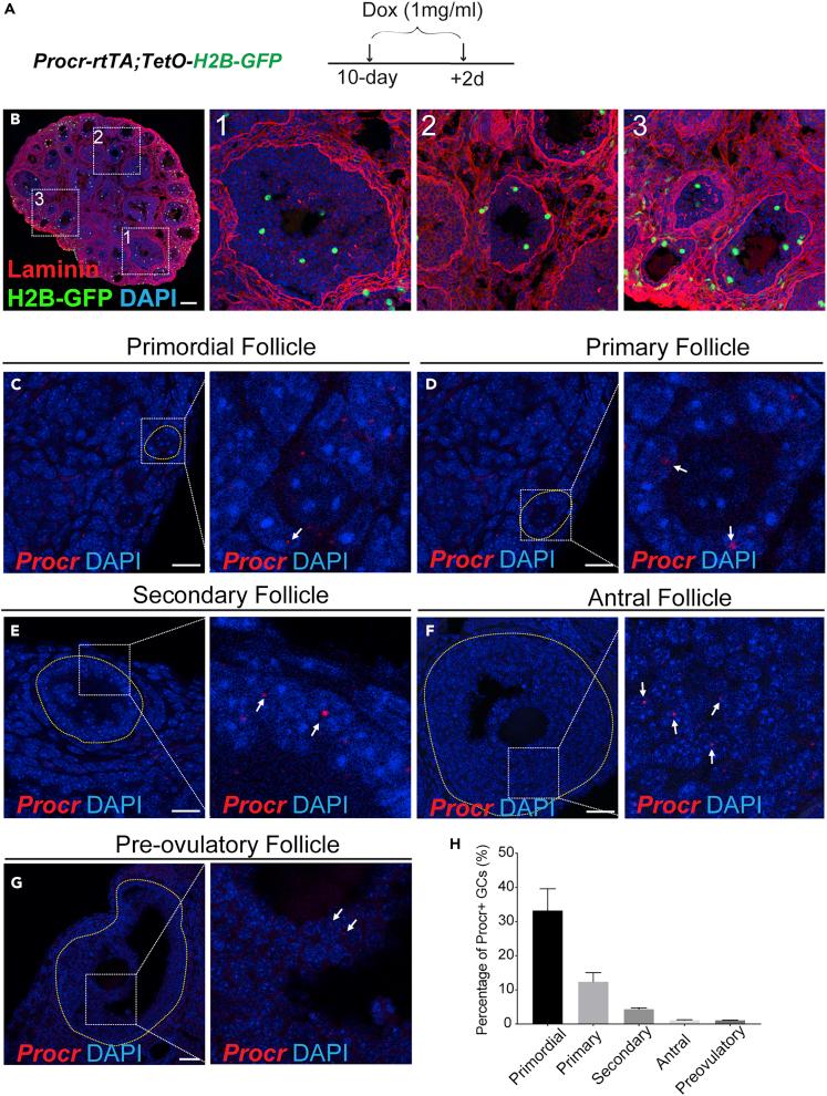 https://cdn.ncbi.nlm.nih.gov/pmc/blobs/d79b/7889980/ed5838abee7e/gr1.jpg