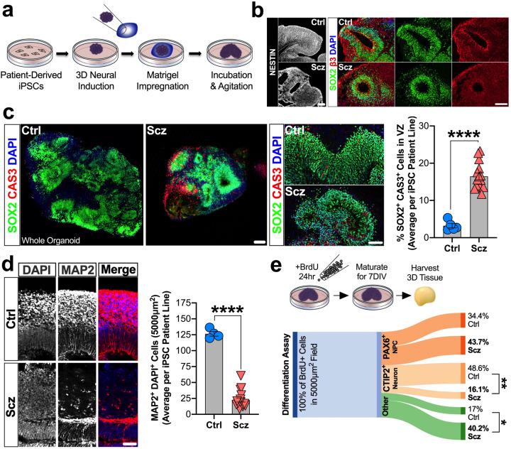 https://cdn.ncbi.nlm.nih.gov/pmc/blobs/d79f/9095467/2929002b22b8/41380_2021_1316_Fig1_HTML.jpg