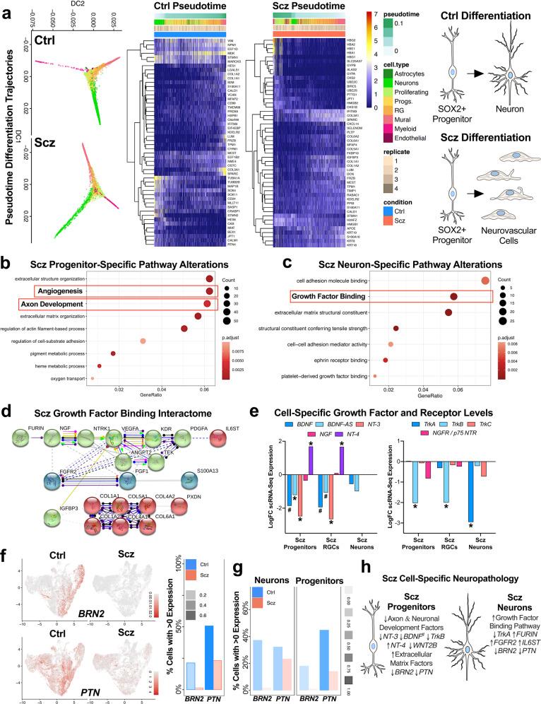 https://cdn.ncbi.nlm.nih.gov/pmc/blobs/d79f/9095467/83379f347188/41380_2021_1316_Fig3_HTML.jpg