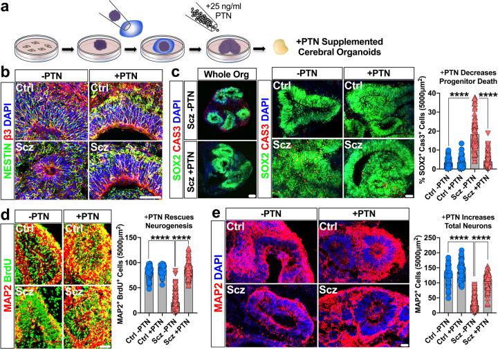 https://cdn.ncbi.nlm.nih.gov/pmc/blobs/d79f/9095467/e8b189acd339/41380_2021_1316_Fig5_HTML.jpg