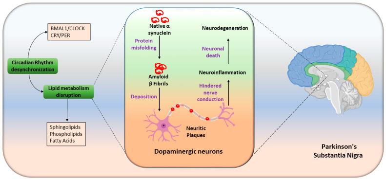 https://cdn.ncbi.nlm.nih.gov/pmc/blobs/d7a0/11677446/781a083abf6d/metabolites-14-00723-g005.jpg