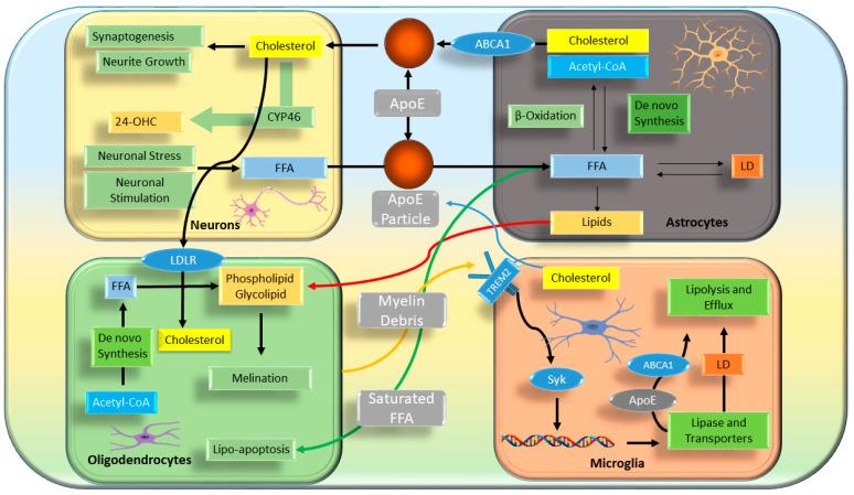 https://cdn.ncbi.nlm.nih.gov/pmc/blobs/d7a0/11677446/b7f3a1ff7c3c/metabolites-14-00723-g002.jpg