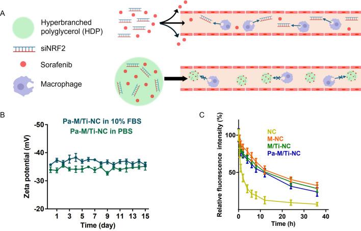 https://cdn.ncbi.nlm.nih.gov/pmc/blobs/d7a1/11460037/49440b37831d/12951_2024_2842_Fig3_HTML.jpg