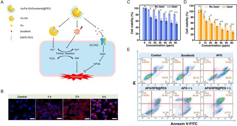 https://cdn.ncbi.nlm.nih.gov/pmc/blobs/d7a1/11460037/79c50c039c01/12951_2024_2842_Fig7_HTML.jpg
