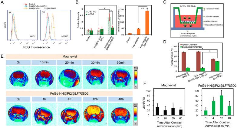 https://cdn.ncbi.nlm.nih.gov/pmc/blobs/d7a1/11460037/99b2c0360ef8/12951_2024_2842_Fig5_HTML.jpg