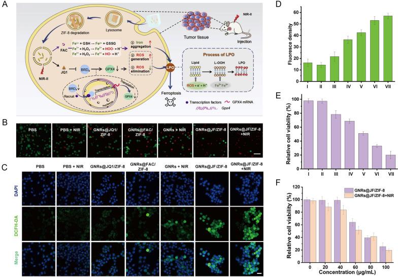 https://cdn.ncbi.nlm.nih.gov/pmc/blobs/d7a1/11460037/a1db58dc4c98/12951_2024_2842_Fig9_HTML.jpg