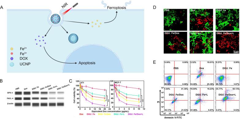 https://cdn.ncbi.nlm.nih.gov/pmc/blobs/d7a1/11460037/a4370ba45ba8/12951_2024_2842_Fig8_HTML.jpg