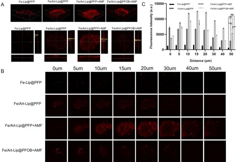 https://cdn.ncbi.nlm.nih.gov/pmc/blobs/d7a1/11460037/c6674601e4d0/12951_2024_2842_Fig6_HTML.jpg