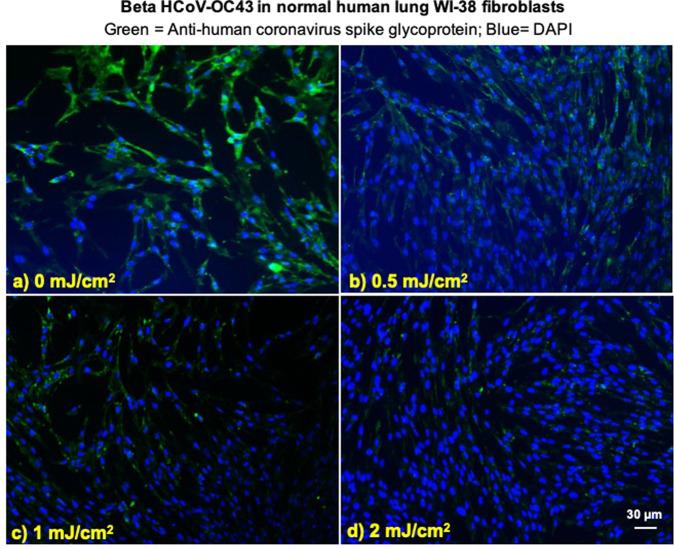 https://cdn.ncbi.nlm.nih.gov/pmc/blobs/d7a1/7314750/952afd01e47b/41598_2020_67211_Fig3_HTML.jpg