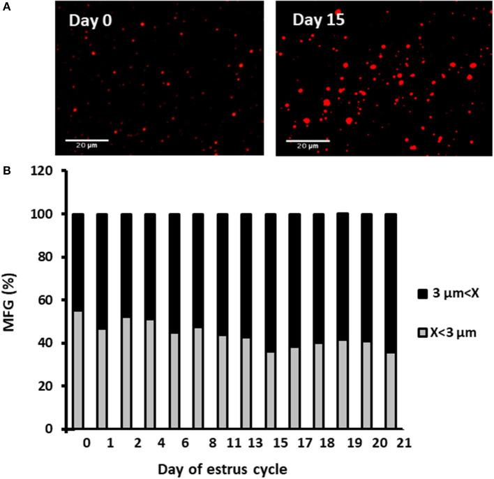 https://cdn.ncbi.nlm.nih.gov/pmc/blobs/d7a1/7509472/16e783569ca8/fendo-11-00596-g0004.jpg
